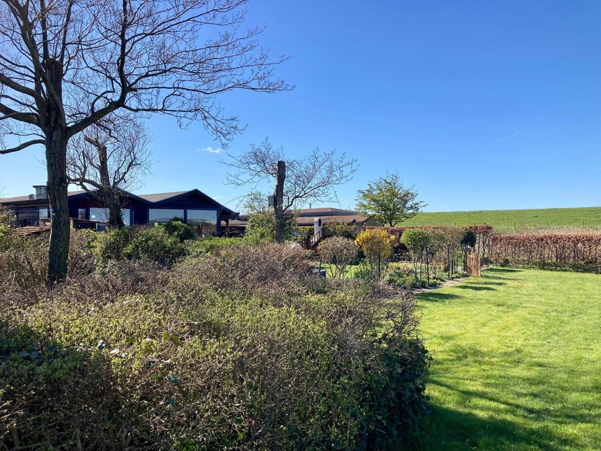 House Marijke With Winter Garden And Direct Access To The Lauwersmeer Anjum Exterior photo